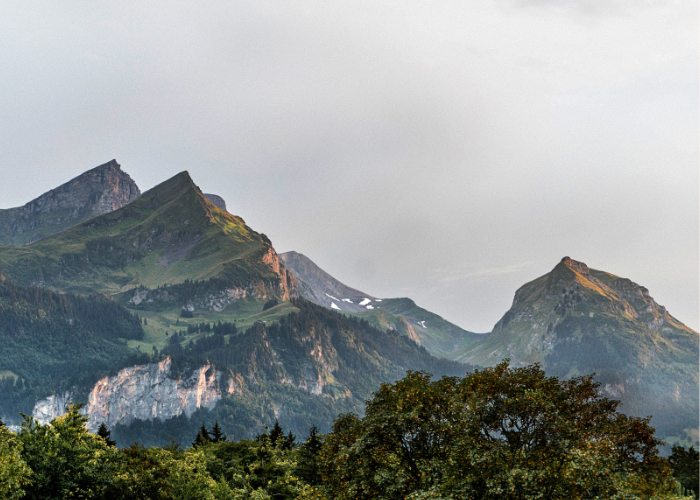 Etre bénévole sur une course trail : retour d'expérience sur le GRP