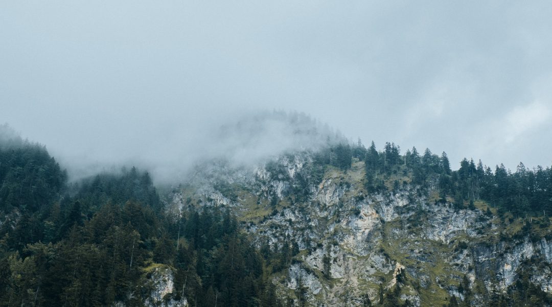 L’influence du mental dans la performance