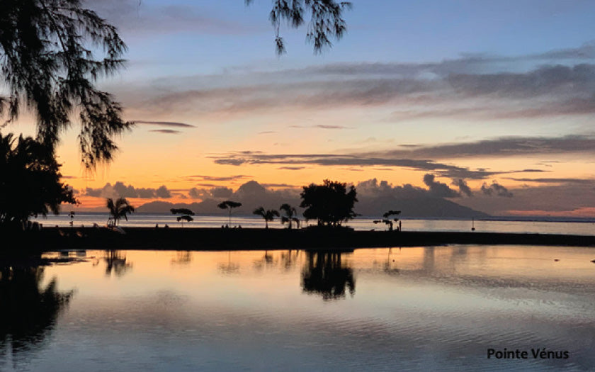 Passionnés de sports ? Découvrez les spots et sorties incontournables à faire en Polynésie et plus particulièrement à Tahiti