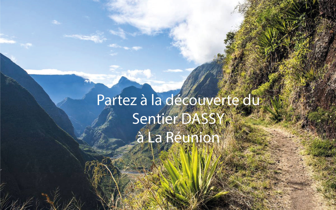 sortie-trail-running-sentier-dassy-la-reunion-2